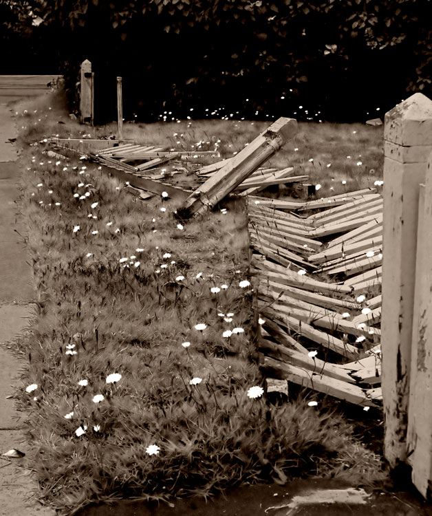 White Picket Fence
