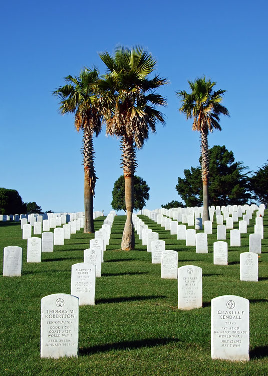 Cemetery Palms