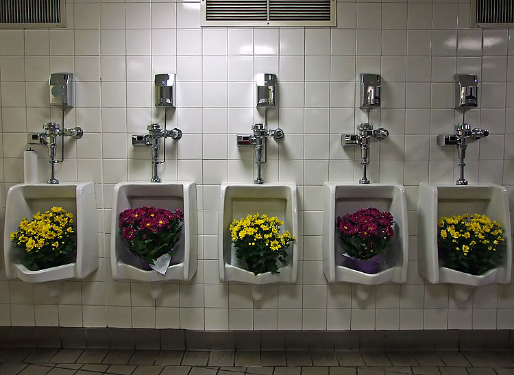 A Novel Way To Water Flowers