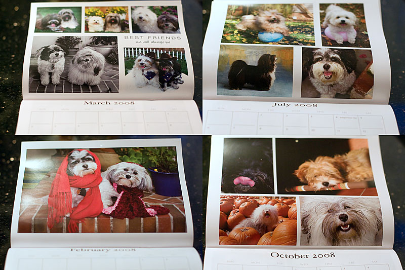 My Boys Are Pinup Pups!