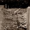 White Picket Fence