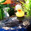 Hairy Ducky with 
