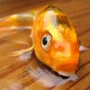 Fish Out of Water, Part I