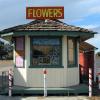 Flowers Not For Sale