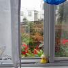 View Out My Kitchen Window