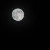 Facing the Moon