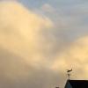 San Francisco: Evening Fog Rolls In