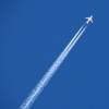Soaring - A Study In Blue & Black and White