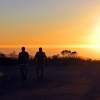 A Walk At Sunset