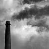 Smokestack With Gull