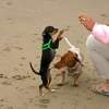 "Oh My DAWG! What Is THAT?!"
