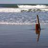 Reflecting On Wooden Sculpture At Ocean Beach