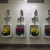 A Novel Way To Water Flowers