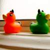 The Evil Of Gossip Between Rubber Duckies