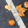 Scattered Leaves On A Pavement In London