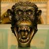 A Friendly Face At The Natural History Museum In London