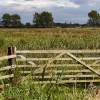 Gate To Pasture At Martin Mere, UK