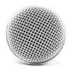 Hi-Key Mic Or Blinding Disco Ball