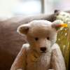 Steiff Teddy Bear